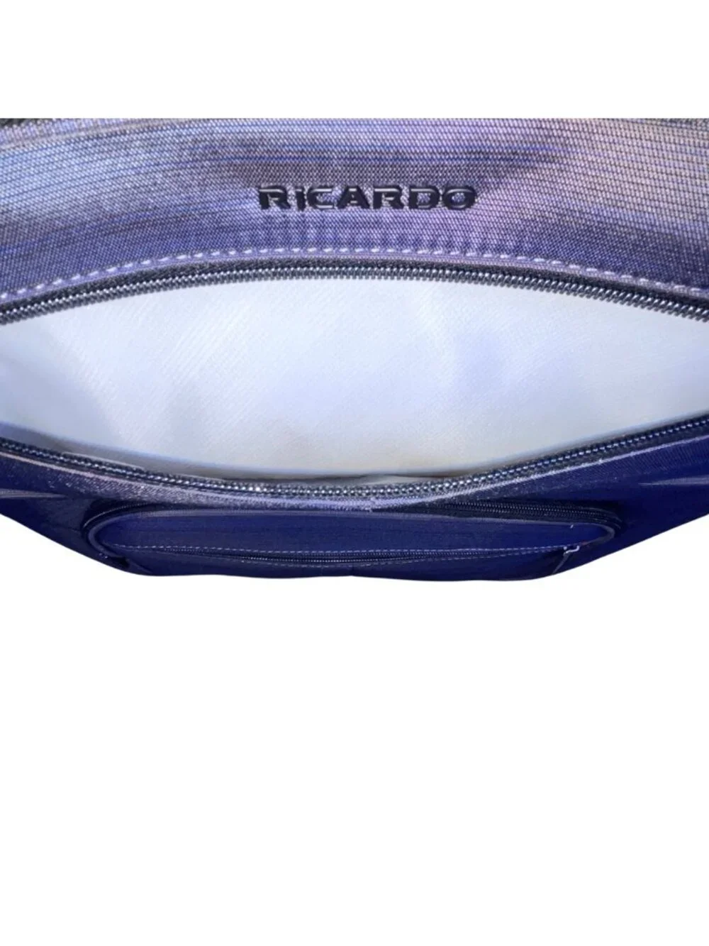Ricardo Men’s Gray & Blue Blend Nylon 4-Wheel Spinner Expandable Travel Luggage